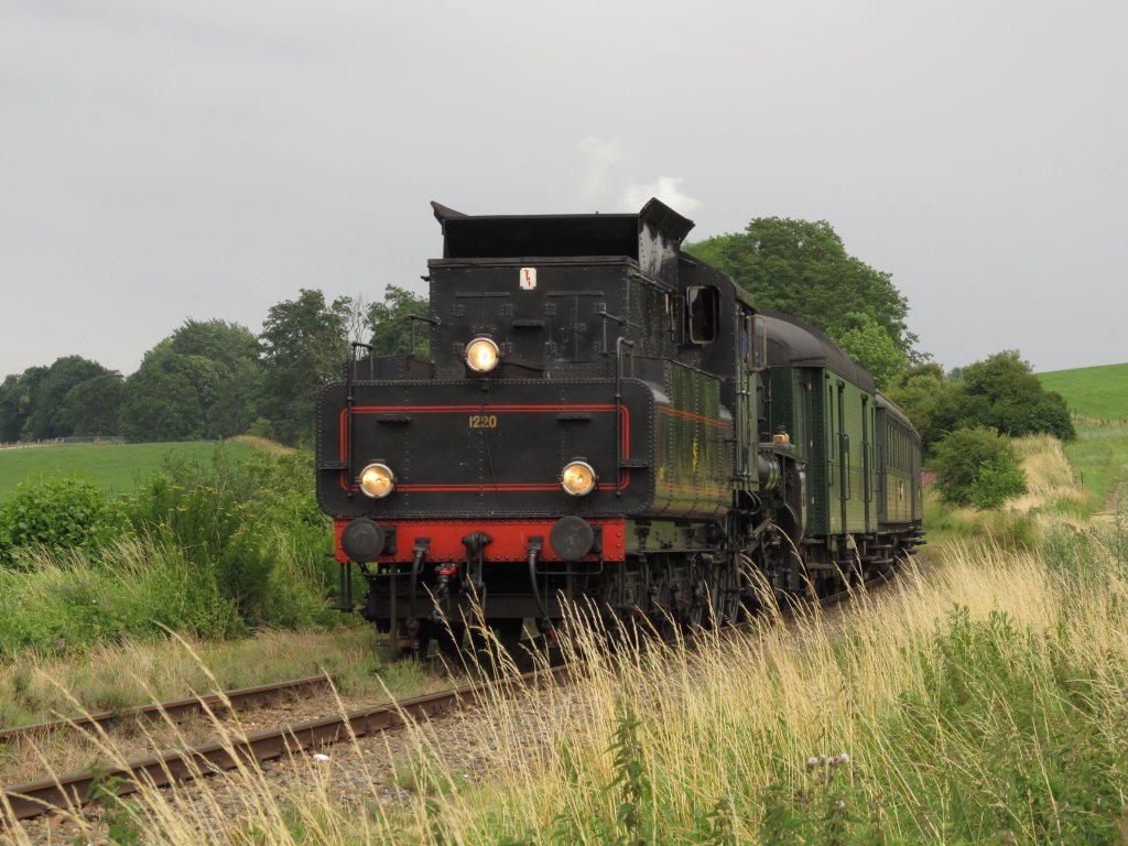 Dampfeisenbahntage 2011 bei der ZLSM.