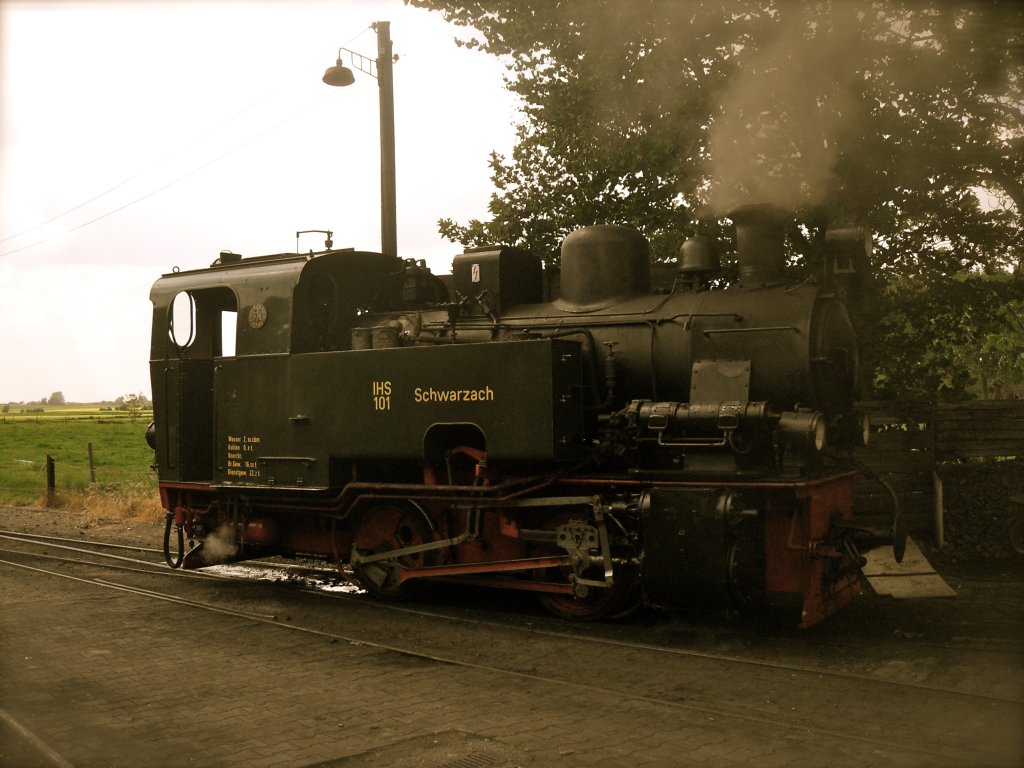 Lok 101 Schwarzach im Sommer 2010 im Bahnhof Schierwaldenrath.